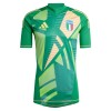 Camiseta de fútbol Portero Italia Euro 2024 Verde - Hombre